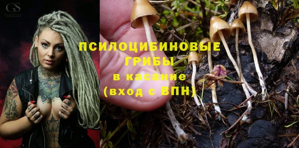 COCAINE Богородицк