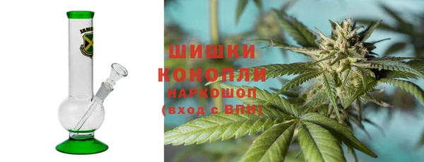 хмурый Белокуриха
