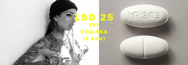 spice Богданович