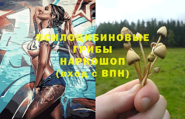spice Богданович