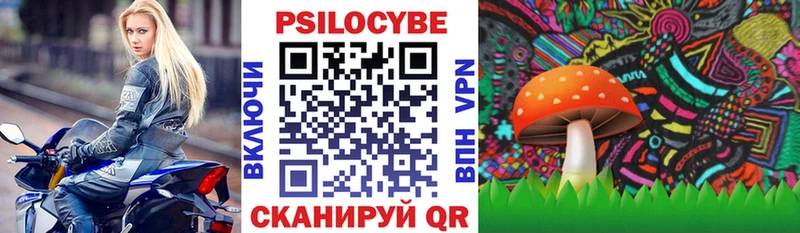 Галлюциногенные грибы Psilocybine cubensis  где найти   мориарти состав  Малоярославец 