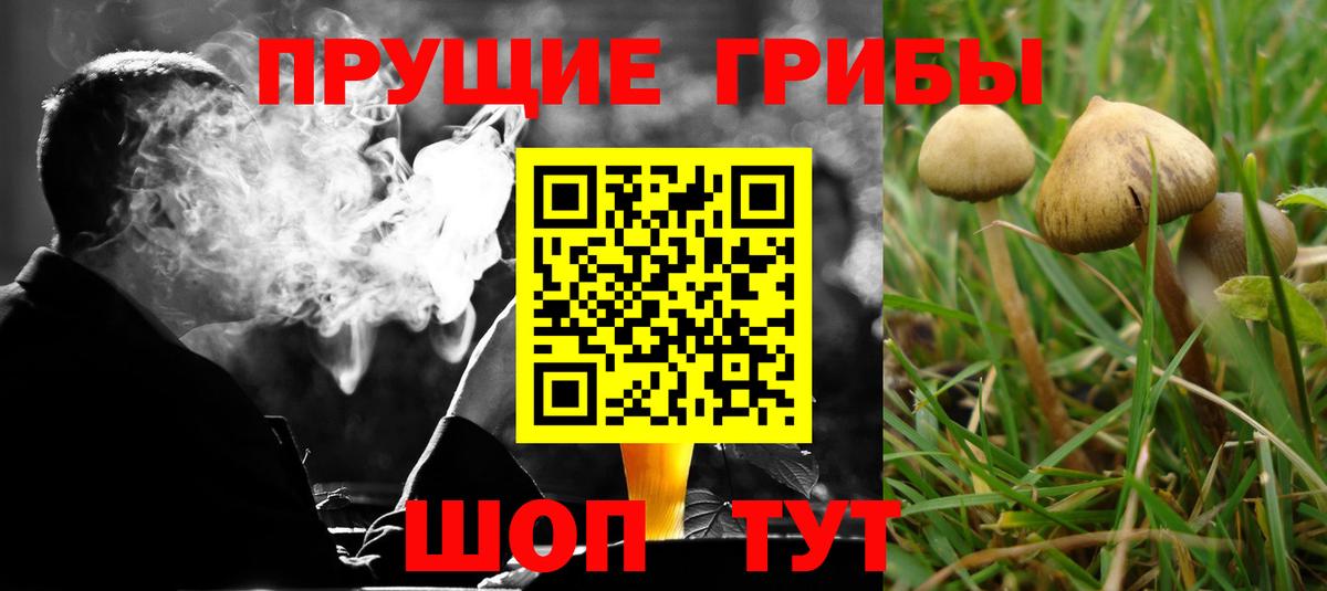 Галлюциногенные грибы ЛСД  закладки  Вход с VPN  Малоярославец  Галлюциногенные грибы Cubensis 
