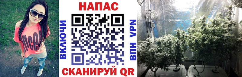 закладки  Малоярославец  мега зеркало  нарко площадка клад  Каннабис VHQ 